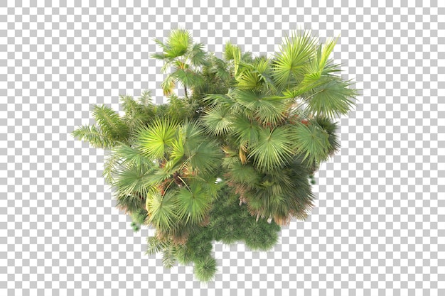 Foliage island isolated on transparent background 3d rendering illustration