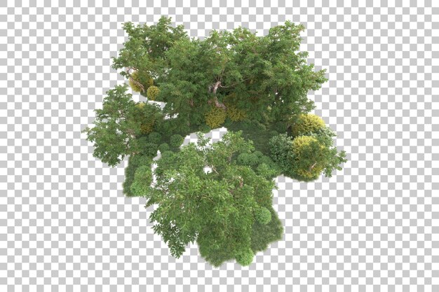 PSD foliage island isolated on transparent background 3d rendering illustration