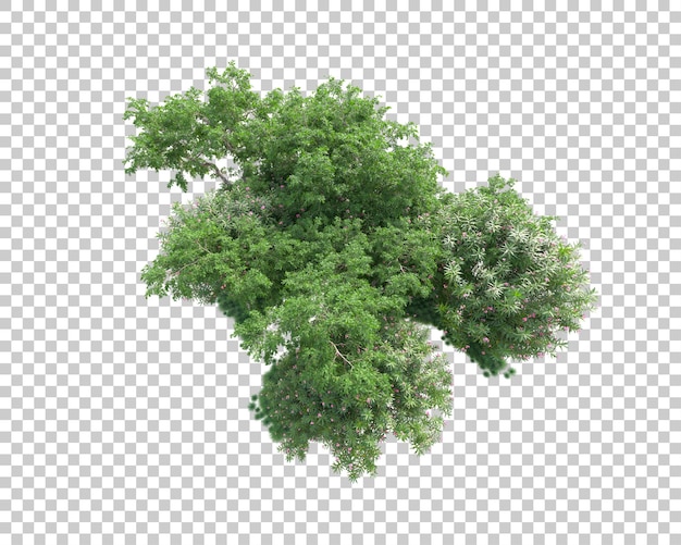 foliage island isolated on transparent background 3d rendering illustration