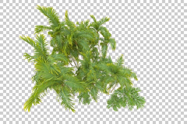 PSD foliage island isolated on white background 3d rendering illustration