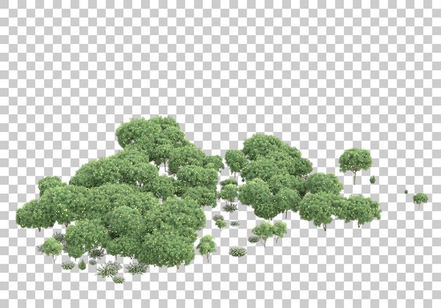 foliage on transparent background 3d rendering illustration