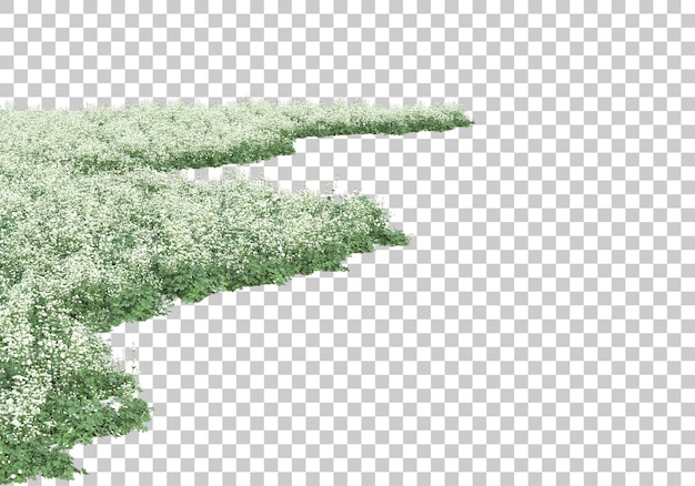 PSD foliage on transparent background 3d rendering illustration