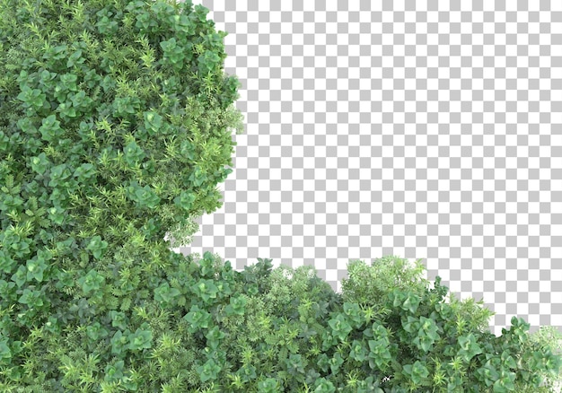 PSD foliage on transparent background 3d rendering illustration