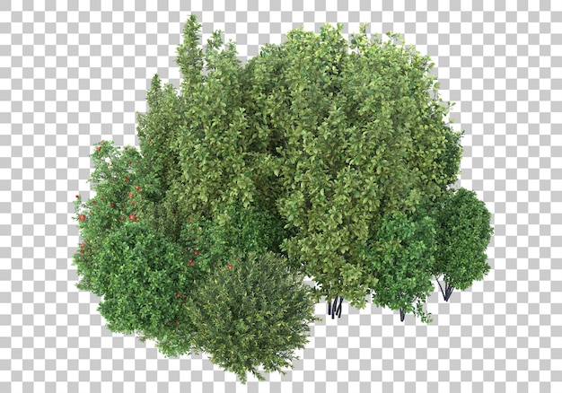 Foliage with transparent background 3d rendering illustration