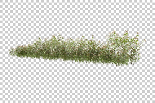 Foliage with transparent background 3d rendering illustration