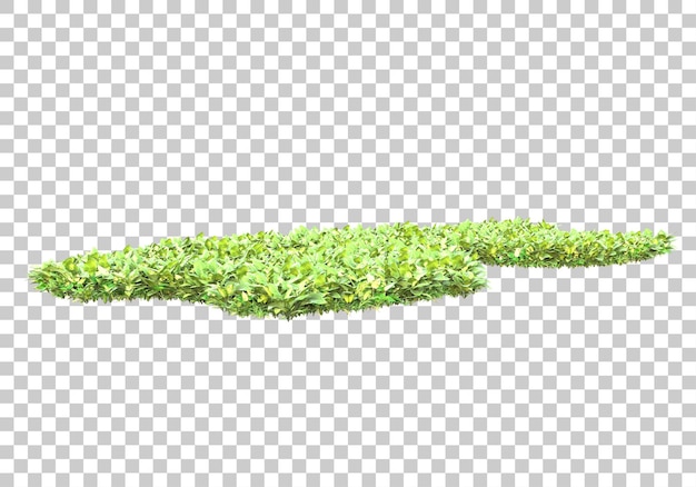 Foliage with transparent background 3d rendering illustration