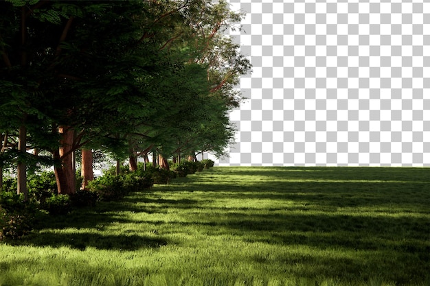PSD foreset scenery with lawn cutout