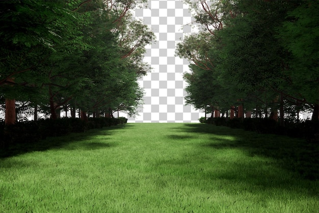 PSD foreset scenery with lawn cutout