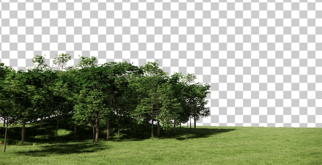 PSD foreset scenery with lawn cutout