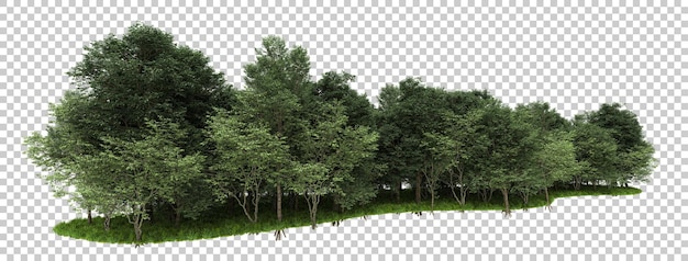 Foresta isolata su sfondo trasparente 3d rendering illustrazione