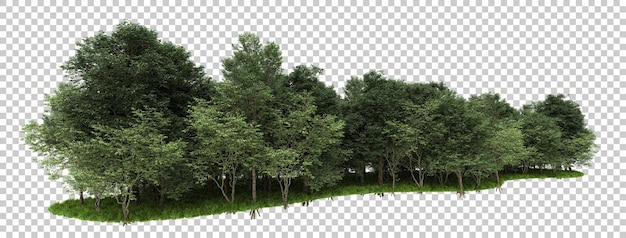 Forest isolated on transparent background 3d rendering illustration