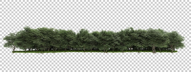 Forest isolated on transparent background 3d rendering illustration