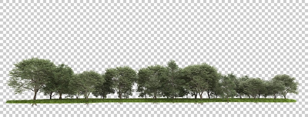 Forest isolated on transparent background 3d rendering illustration