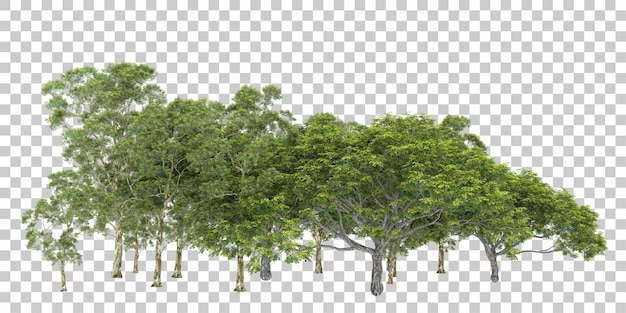 Forest isolated on transparent background 3d rendering illustration