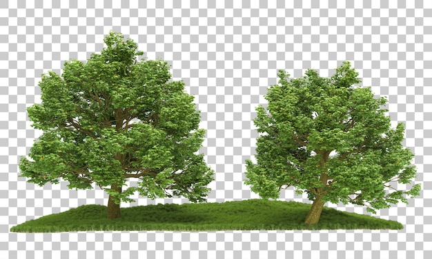 Forest isolated on transparent background 3d rendering illustration