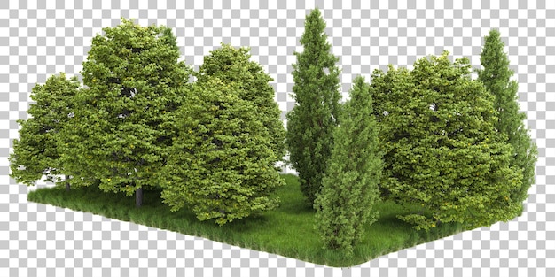 Foresta isolata su sfondo trasparente 3d rendering illustrazione