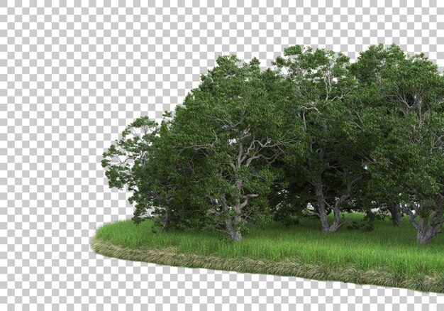 forest on transparent background 3d rendering illustration