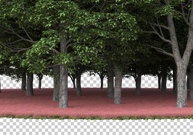 PSD 투명 한 배경 3d 렌더링 그림에 숲