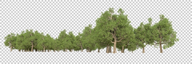 Лес на прозрачном фоне 3d рендеринг иллюстрации