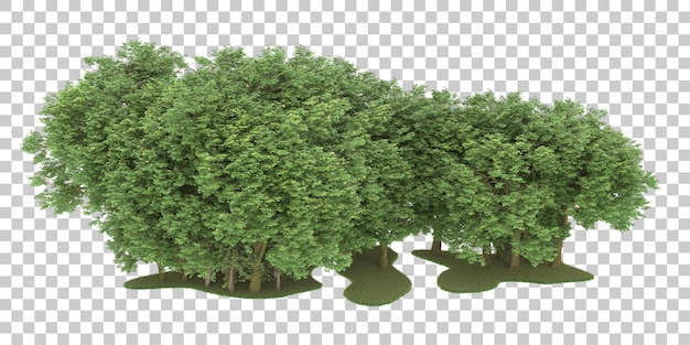Лес на прозрачном фоне. 3d-рендеринг - иллюстрация