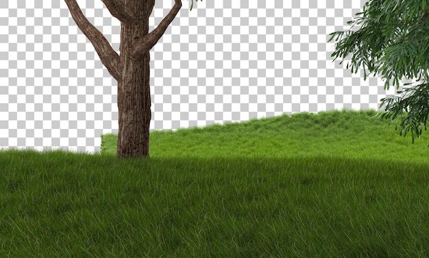 透明な背景の森3dレンダリングイラスト