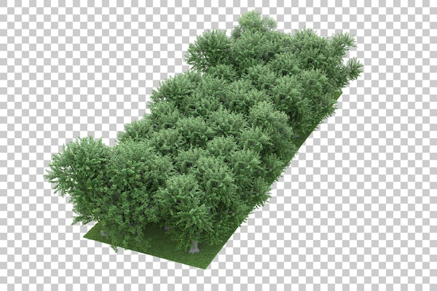 Foresta su sfondo trasparente 3d rendering illustrazione