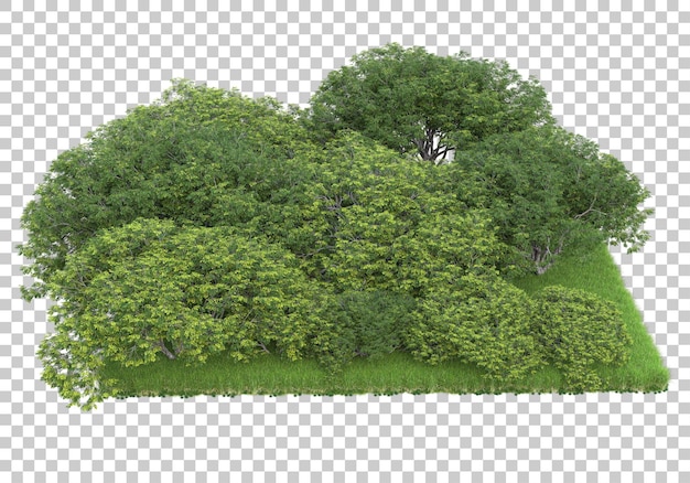 Foresta su sfondo trasparente 3d rendering illustrazione