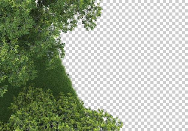 Foresta su sfondo trasparente 3d rendering illustrazione