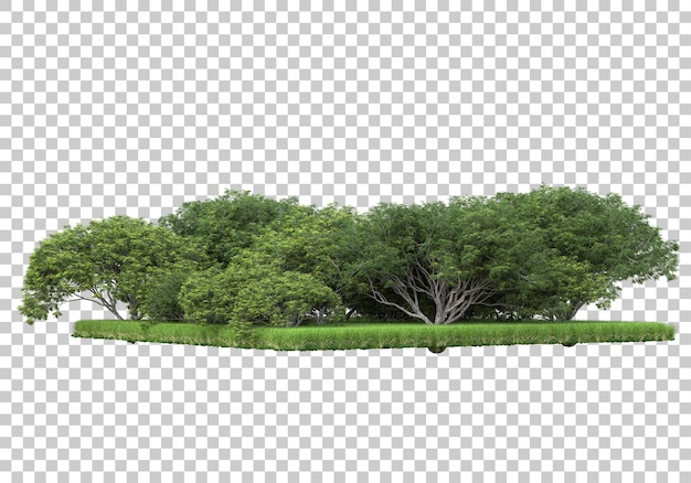 Forest on transparent background 3d rendering illustration