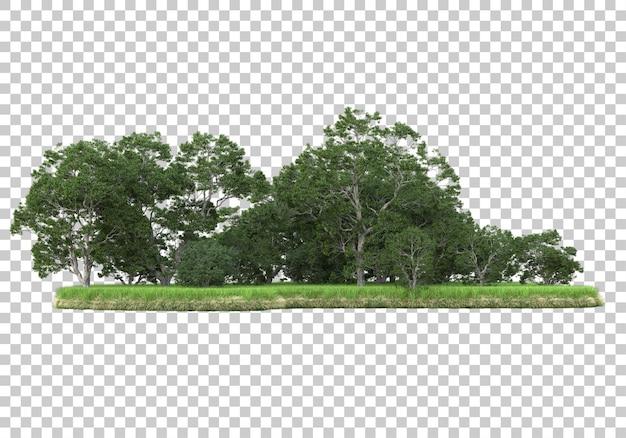 PSD forest on transparent background 3d rendering illustration