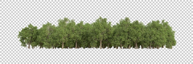 PSD foresta su sfondo trasparente 3d rendering illustrazione