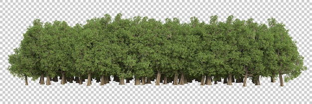 투명 한 배경 3d 렌더링 그림에 숲
