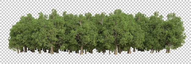 PSD foresta su sfondo trasparente 3d rendering illustrazione