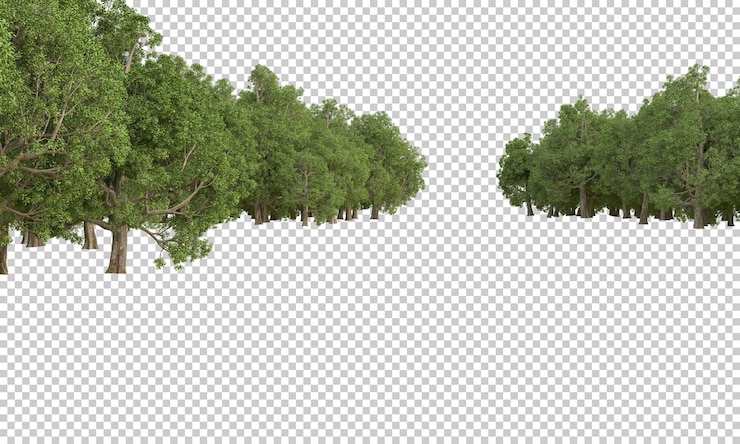PSD 투명 한 배경 3d 렌더링 그림에 숲