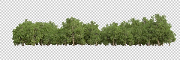 Foresta su sfondo trasparente 3d rendering illustrazione