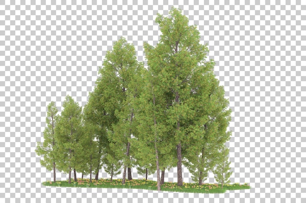 Forest on transparent background. 3d rendering - illustration