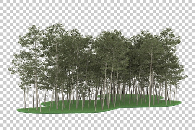 PSD foresta su sfondo trasparente. rendering 3d - illustrazione