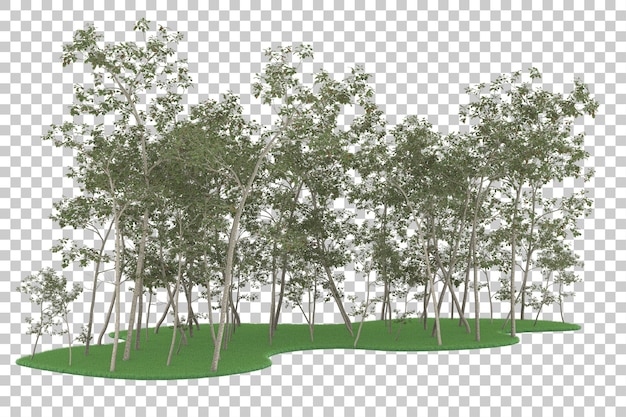 Forest on transparent background. 3d rendering - illustration