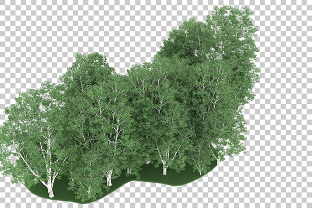 Forest on transparent background. 3d rendering - illustration