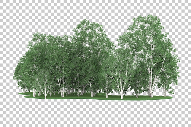 Foresta su sfondo trasparente. rendering 3d - illustrazione