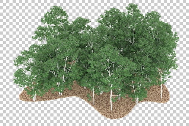 透明な背景の森。 3 d レンダリング - イラスト