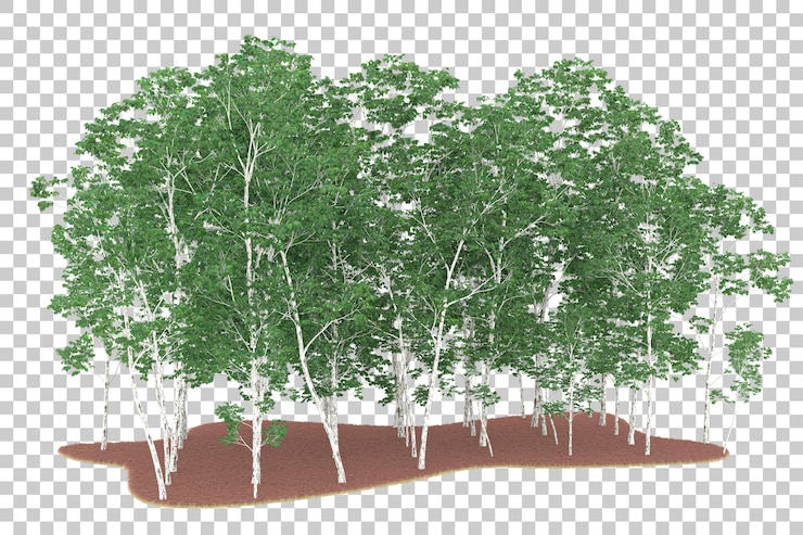 PSD forest on transparent background. 3d rendering - illustration