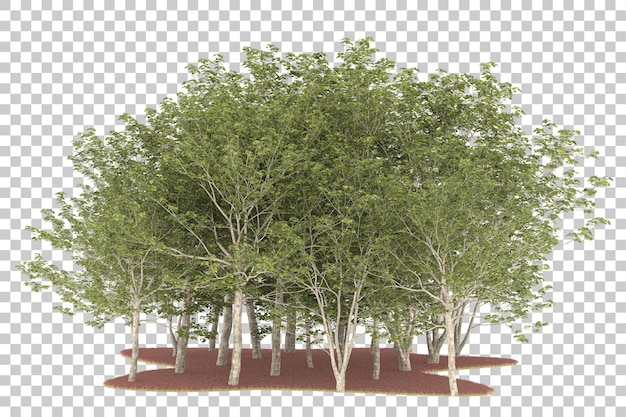 Foresta su sfondo trasparente. rendering 3d - illustrazione