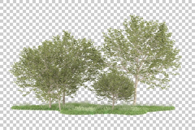 Forest on transparent background. 3d rendering - illustration