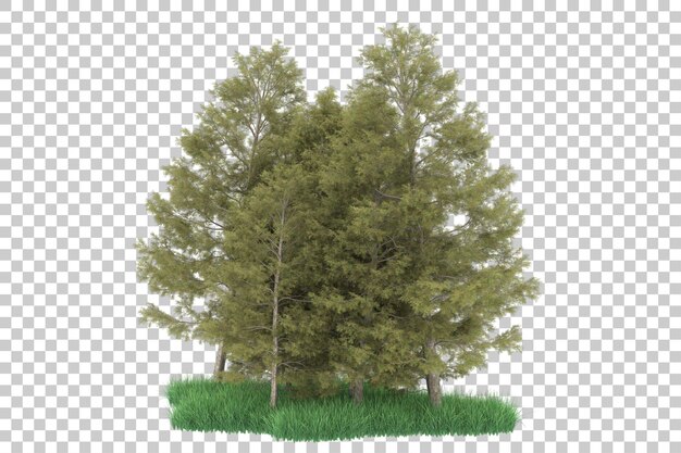 Forest on transparent background. 3d rendering - illustration