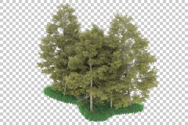 Foresta su sfondo trasparente. rendering 3d - illustrazione