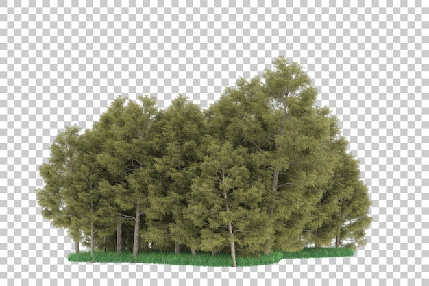 Forest on transparent background. 3d rendering - illustration