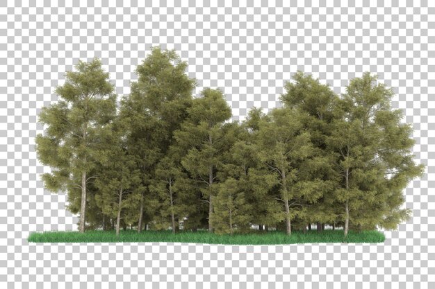 PSD foresta su sfondo trasparente. rendering 3d - illustrazione