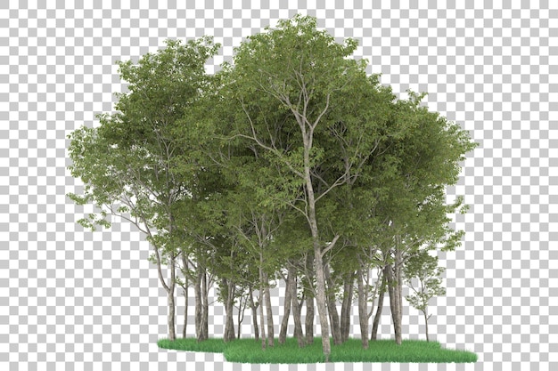 Forest on transparent background. 3d rendering - illustration