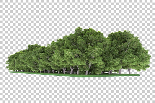 PSD forest on transparent background. 3d rendering - illustration